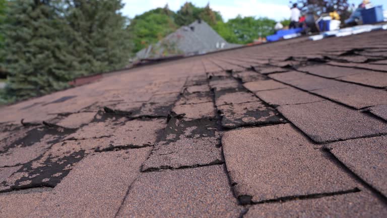 Best Asphalt Shingles Roofing  in La Quinta, CA
