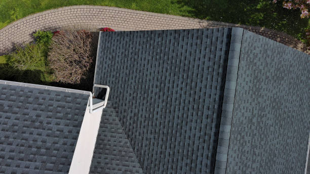 Best Roof Moss and Algae Removal  in La Quinta, CA